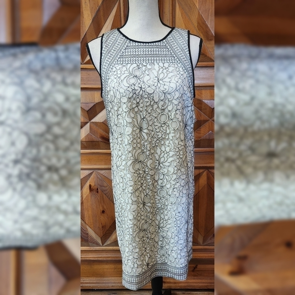 Loft Lace Dress Sz 6